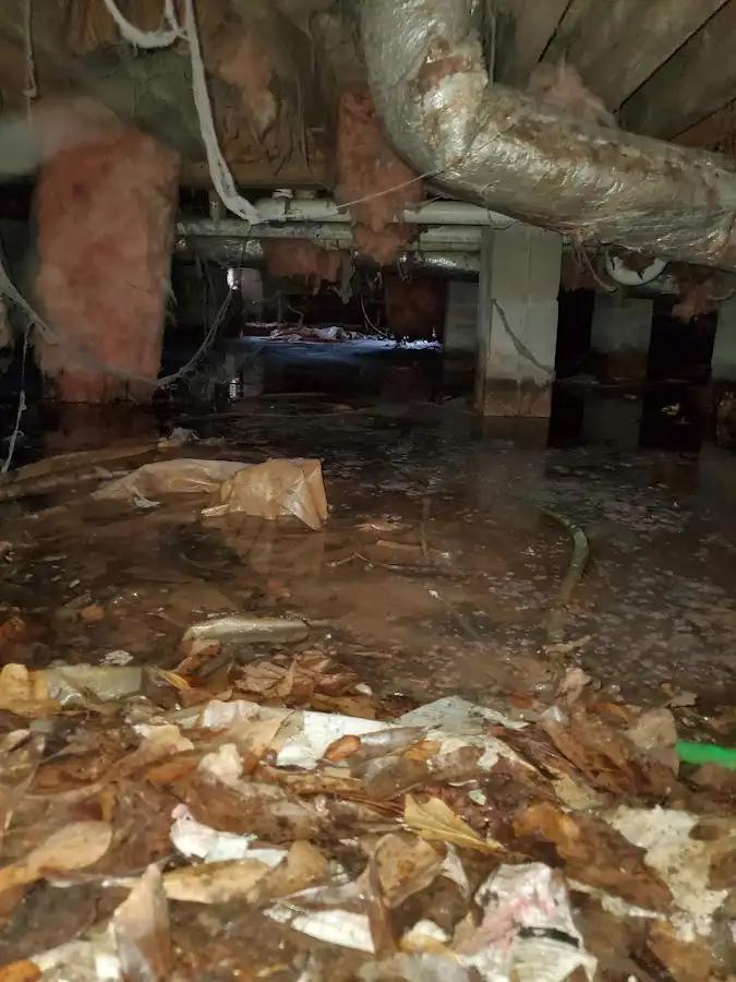 Crawl space flood assessment for Commercial Water Damage Restoration in Lincoln Park
